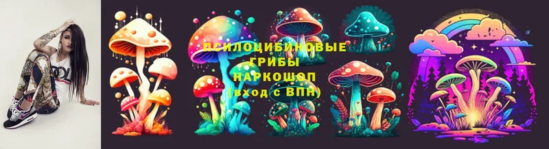 Галлюциногенные грибы Psilocybe  Таштагол 